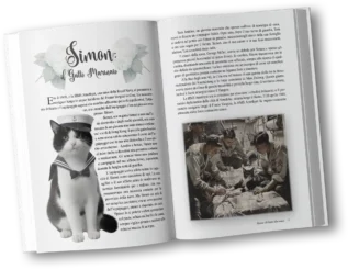 Eroi a 4 Zampe: Storie vere di Gatti Straordinari - immagine 4