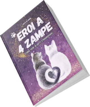 Eroi a 4 Zampe: Storie vere di Gatti Straordinari - immagine 3