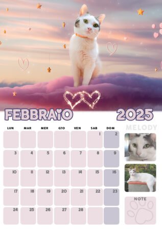 Calendario 2025 dei Gatti di Rodia, 12 mesi con immagini di gatti