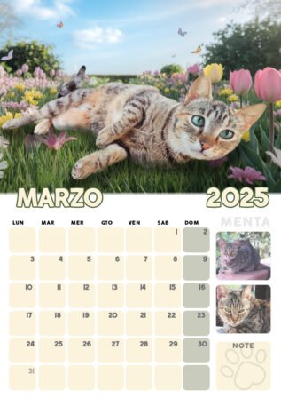 Calendario 2025 dei Gatti di Rodia, 12 mesi con immagini di gatti