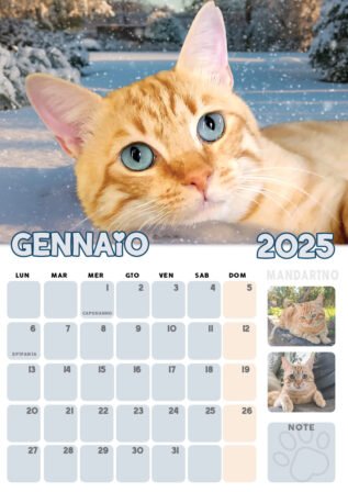 Calendario dei gatti 2025 dei Gatti di Rodia, 12 mesi con immagini di gatti