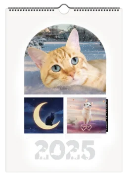Calendario Gatti 2025 dei Gatti di Rodia, 12 mesi con immagini di gatti