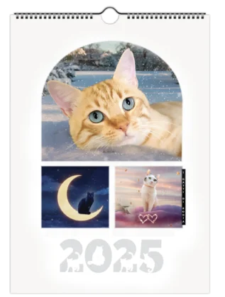 Calendario Gatti 2025 dei Gatti di Rodia, 12 mesi con immagini di gatti