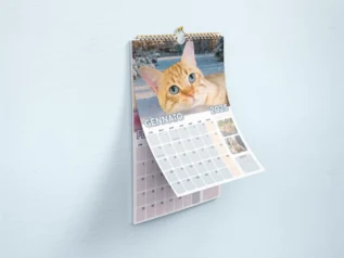 Calendario Gatti 2025 : Entra nello Straordinario mondo dei Gatti Di Rodia - immagine 2