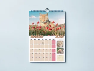 Calendario Gatti 2025 : Entra nello Straordinario mondo dei Gatti Di Rodia - immagine 3