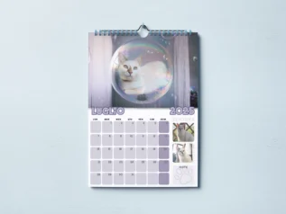 Calendario Gatti 2025 : Entra nello Straordinario mondo dei Gatti Di Rodia - immagine 4
