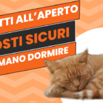 Un gatto che riposa